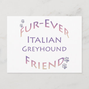 Carte Postale Greyhound Furever italien