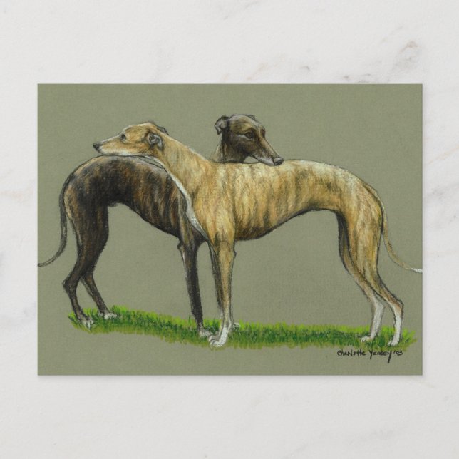 Carte postale "Greyhound Hug" Dog Art (Devant)