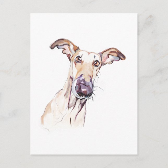 Carte postale Greyhound, Illustration de chien (Devant)