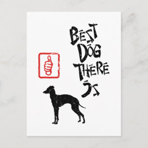 Carte Postale Greyhound italien