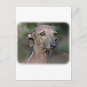 Carte Postale Greyhound italien 9K74D-19