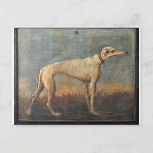 Carte Postale Greyhound par Giovanni Domenico Tiepolo