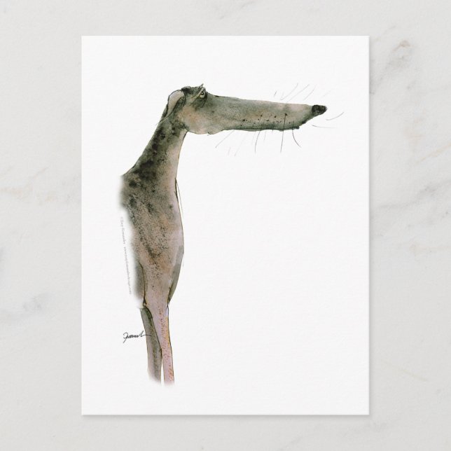 Carte Postale Greyhound, tony fernandes (Devant)