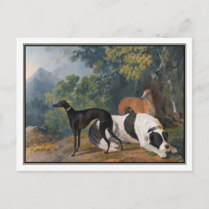 Carte Postale Greyhounds et Mastiff par Sawrey Gilpin