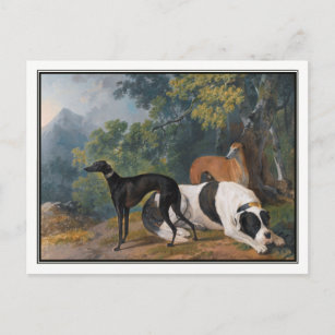 Carte Postale Greyhounds et Mastiff par Sawrey Gilpin