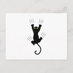 Carte Postale griffes de chat gato com garras