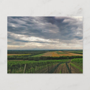 Carte postale "Griffin"