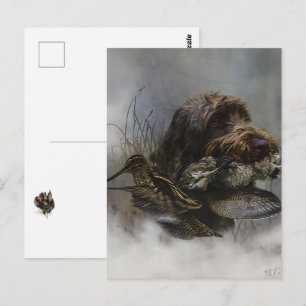 Carte Postale Griffon à poil dur , Chasse à la bécasse