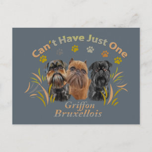 Carte Postale Griffon Brussels Can't Have