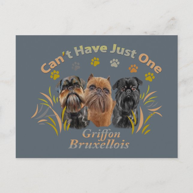 Carte Postale Griffon Brussels Can't Have (Devant)
