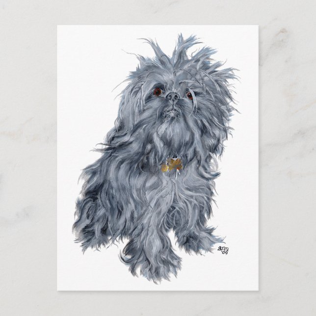 Carte Postale Griffon bruxellois (Devant)