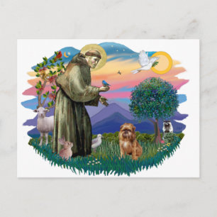 Carte Postale Griffon bruxellois (marron/rouge)