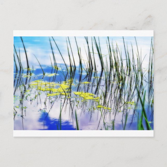 Carte Postale Gris et bleus.JPG (Devant)