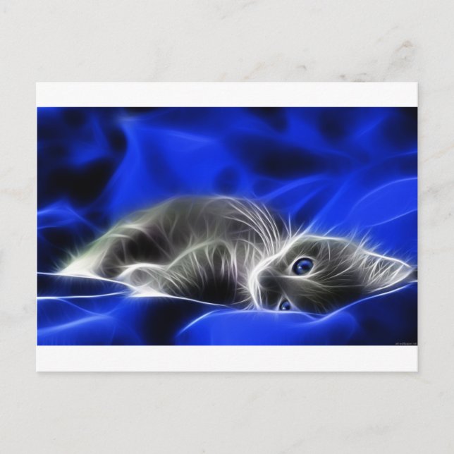 Carte Postale Gris Kitten Awakes (Devant)