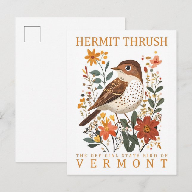 Carte Postale Grive solitaire Oiseau du Vermont Voyage (Devant / Derrière)