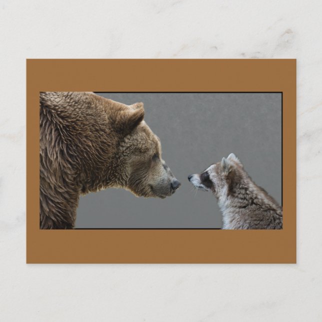 Carte Postale Grizzle Bear rencontre Raccoon (Devant)