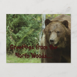 Carte postale Grizzly Bear