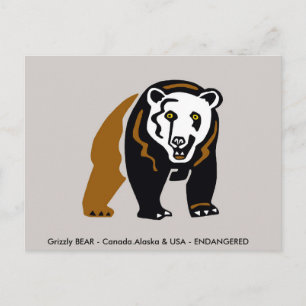 Carte Postale Grizzly BEAR - Faune - Conservation -