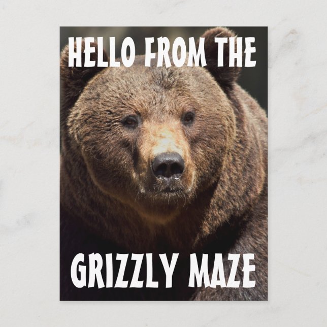 CARTE POSTALE GRIZZLY MAZE GRIZZLY PORTECARTES (Devant)