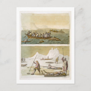 Carte Postale Groenland : Pêche à la baleine et chasse au phoque