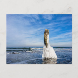 Carte Postale Groin sur la côte de la mer Baltique en hiver