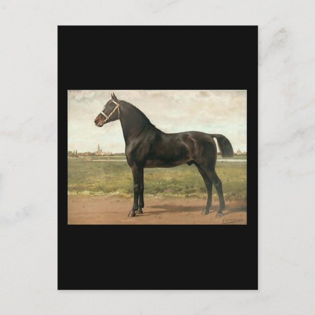 Carte Postale Groningue par Otto Eerelman (Devant)