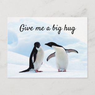 Carte Postale Gros câlin Penguin sur la glace photo avec texte