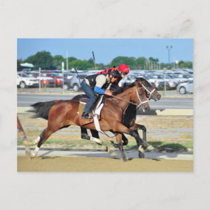 Carte Postale Gros exercices Sandy