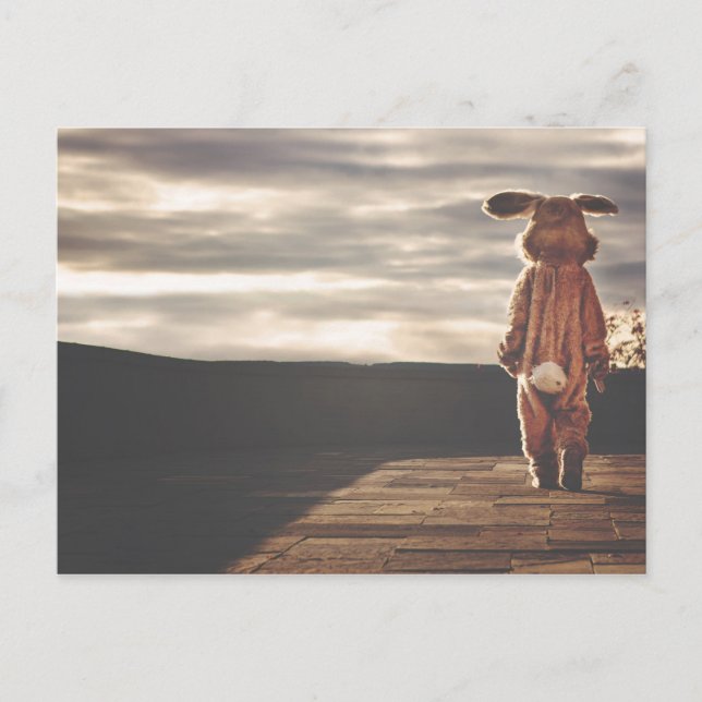 Carte Postale Gros lapin (Devant)