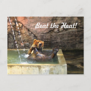 Carte Postale Gros ours Brown prenant un bain