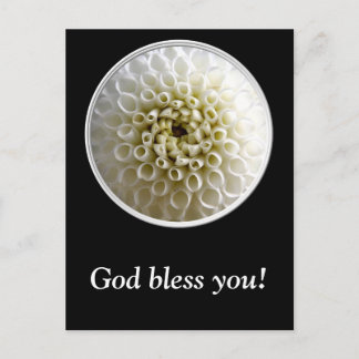 Carte Postale Gros plan Dahlia