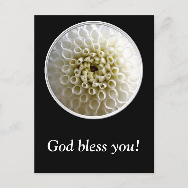 Carte Postale Gros plan Dahlia (Devant)