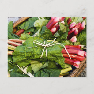 Carte Postale Gros plan de bouquets de rhubarbe dans le panier