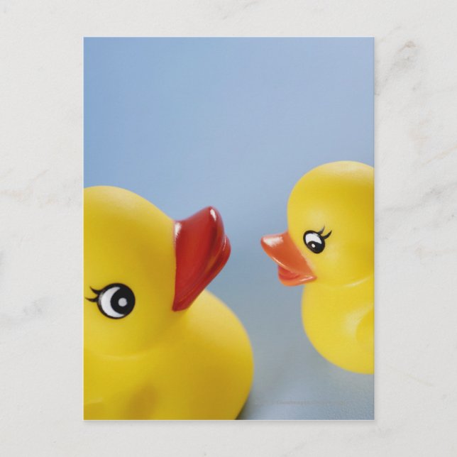Carte Postale Gros plan de deux canards en caoutchouc (Devant)