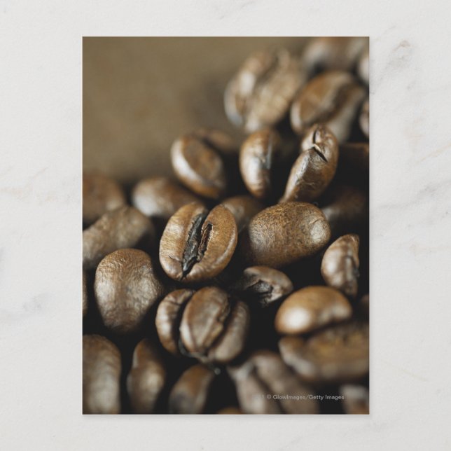 Carte Postale Gros plan des grains de café (Devant)