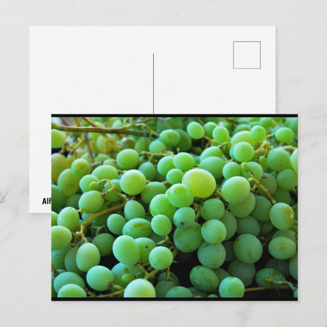 Carte Postale Gros plan sur des raisins blancs (Devant / Derrière)