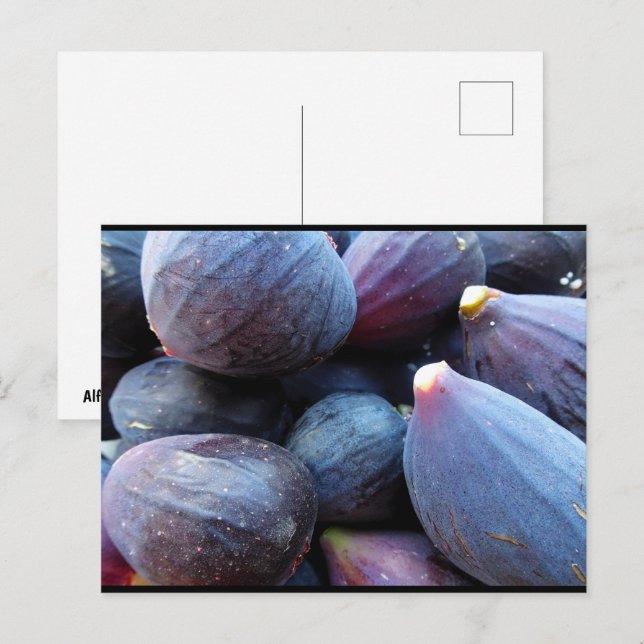 Carte Postale Gros plan sur le fruit de figue violette (Devant / Derrière)