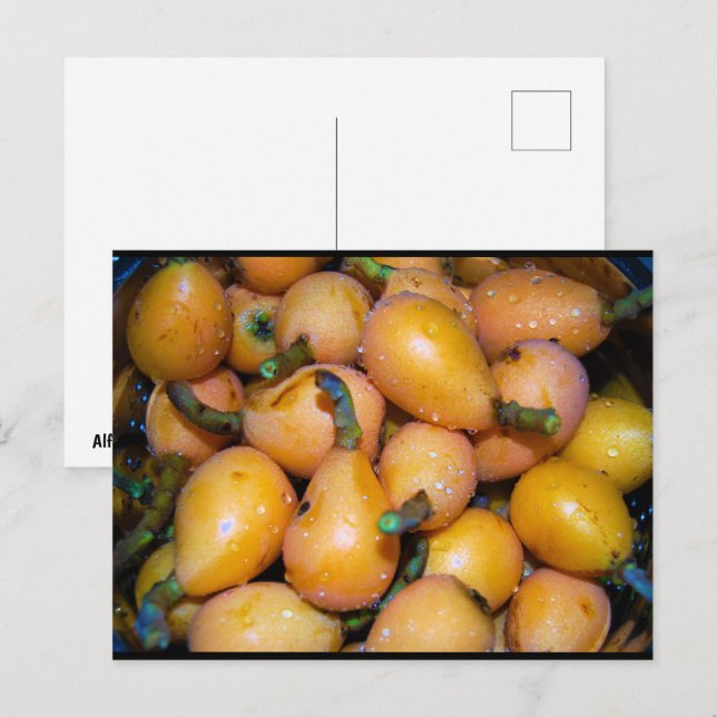 Carte Postale Gros plan sur le fruit de néflier du Japon (Devant / Derrière)
