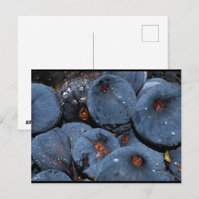 Carte Postale Gros plan sur le fruit du figuier (Devant / Derrière)