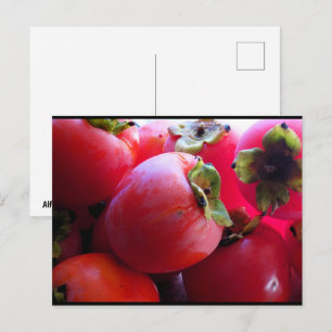 Carte Postale Gros plan sur le fruit du kaki