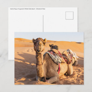 Carte Postale Gros plan sur un chameau dans le désert d'Oman