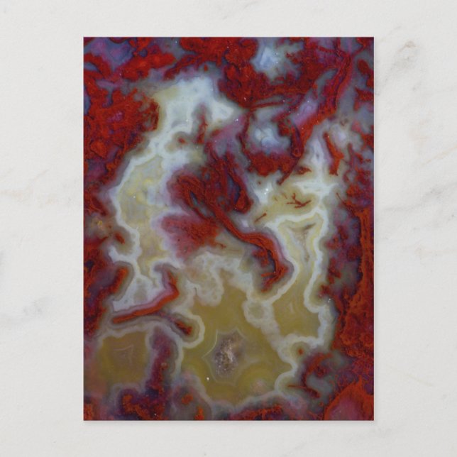 Carte Postale Gros plan sur une dalle d'agate mousse rouge (Devant)