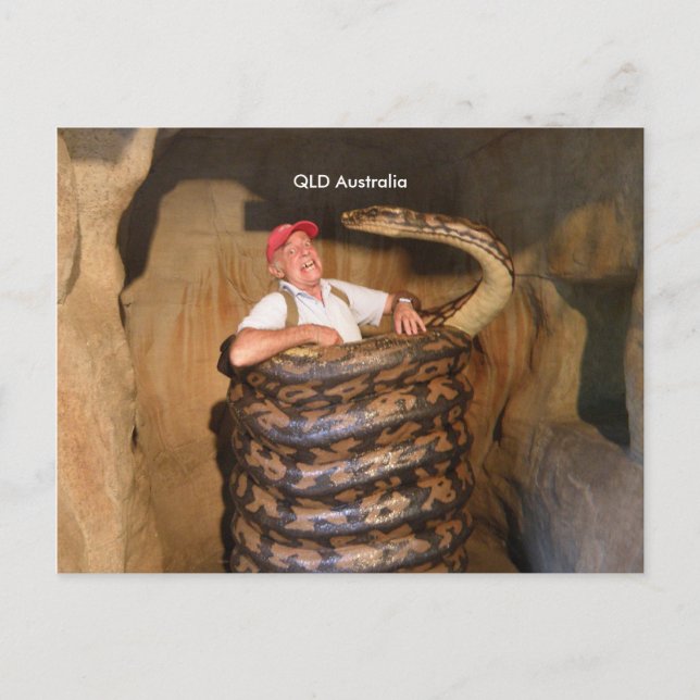 Carte postale Gros serpent QLD Australie Gros serp (Devant)