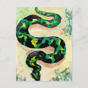 Carte Postale Gros Serpent Vert