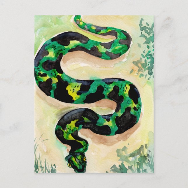 Carte Postale Gros Serpent Vert (Devant)