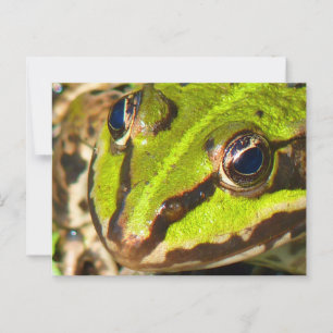 Carte Postale Grosse d'eau commune
