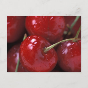 Carte Postale Grosses cerises rouges