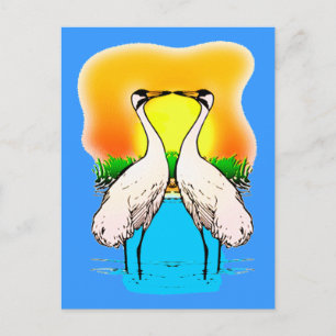 Carte Postale Grosses grues amoureuses