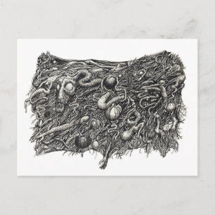 Carte Postale Grotesque Numéro 1, par Brian Benson