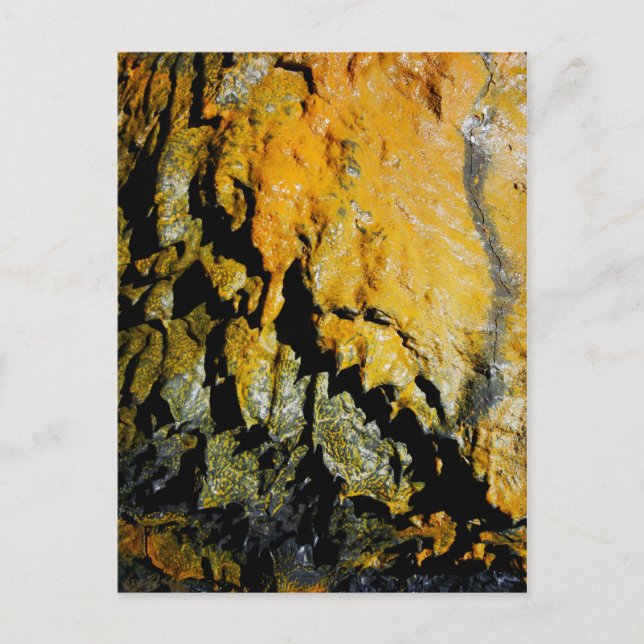 Carte Postale Grotte à tube de lave (Devant)